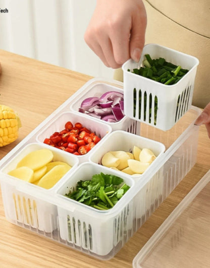 Food Storage Containers with Lids – 6-In-1 Airtight Scallion Storage Box