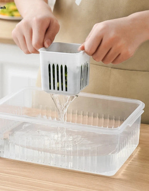 Food Storage Containers with Lids – 6-In-1 Airtight Scallion Storage Box